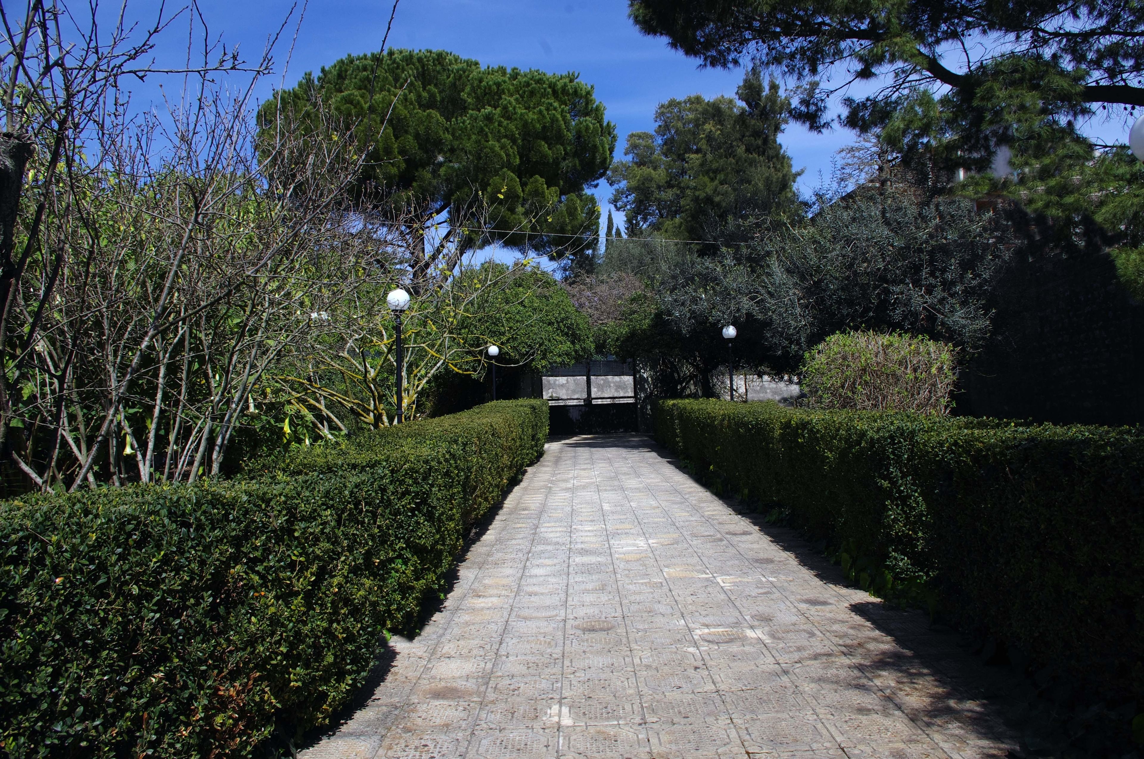 A paved pathway flanked by neatly trimmed hedges and trees, leading towards a building with a dark facade.