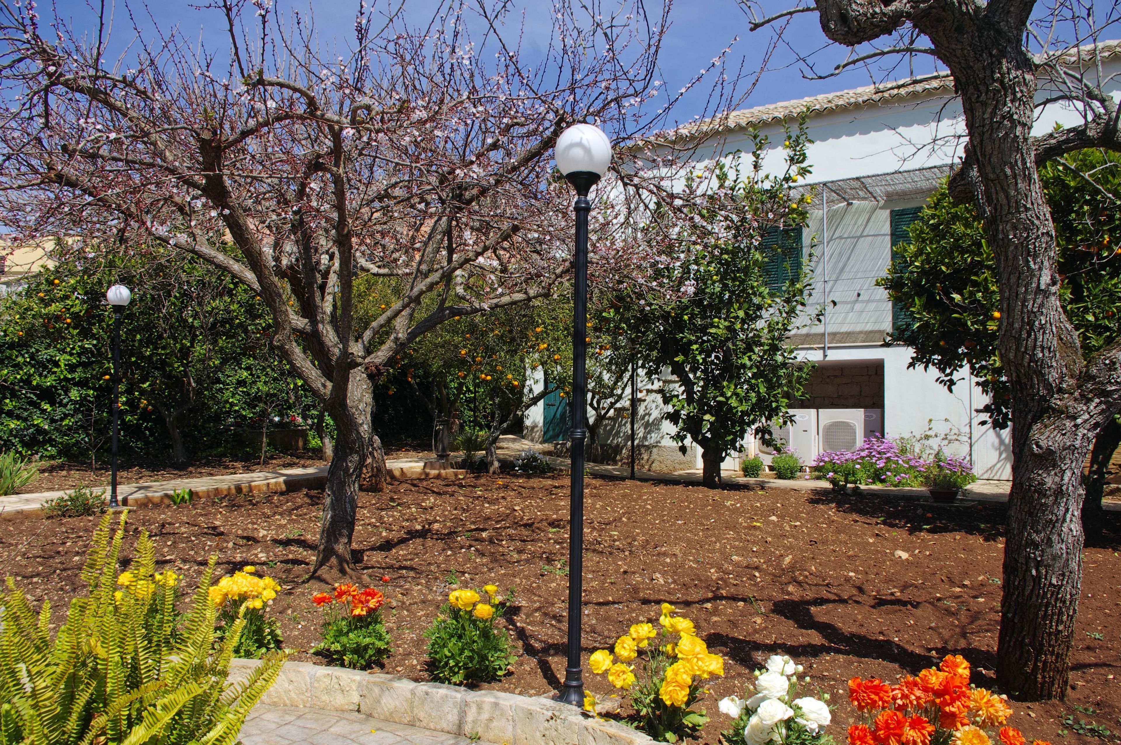 A garden with flowering plants and trees, a lamp post, and a building with a white facade and green shutters.