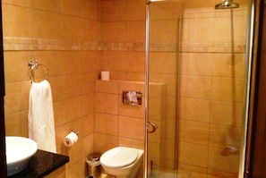 Free toiletries, hair dryer, towels