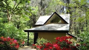 A small wooden cabin surrounded by lush greenery and red flowers.