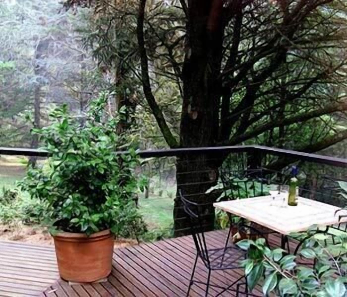 村舍, 4 间卧室 | 露台