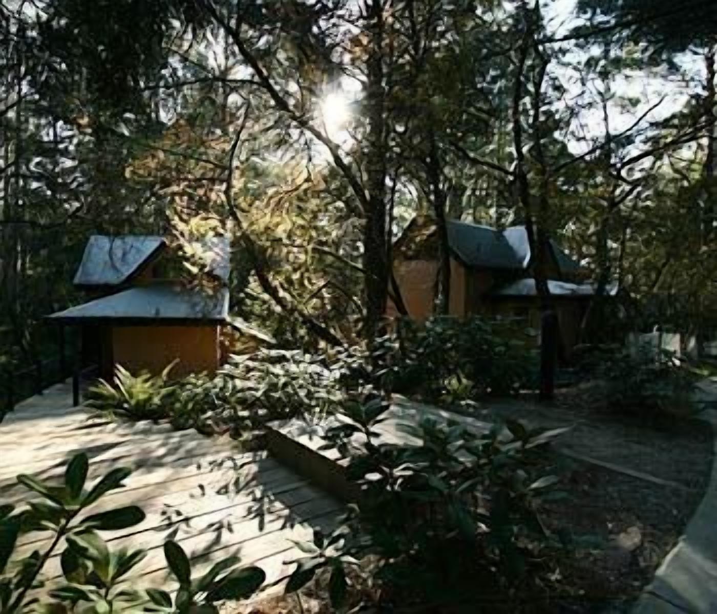 A secluded cabin with a sloped roof, surrounded by dense foliage and a wooden deck.