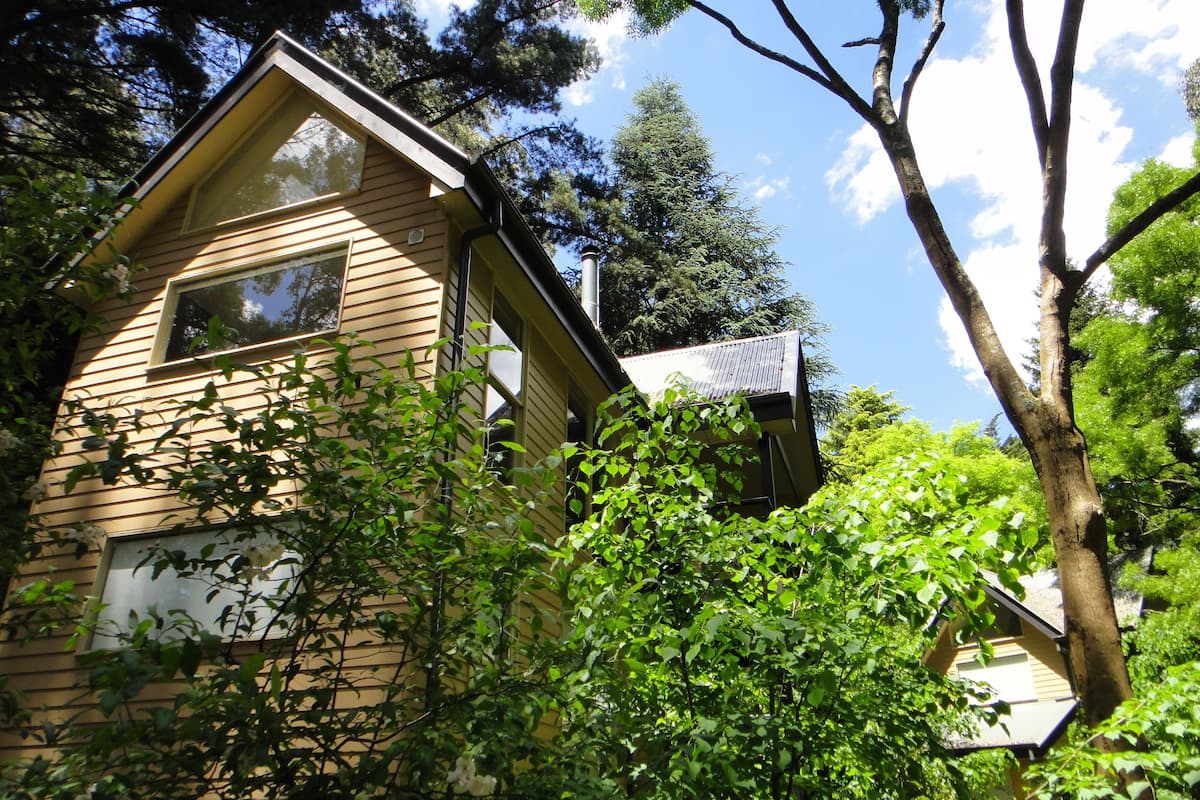 A two-story house with a sloped roof, surrounded by dense greenery and trees.