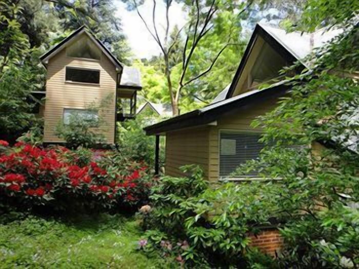 Une petite maison à un étage, dotée d’un toit à pignon, entourée d’une végétation luxuriante et de plantes en fleurs.