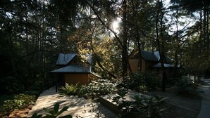A secluded cabin surrounded by dense forest, with a wooden deck leading to the entrance.