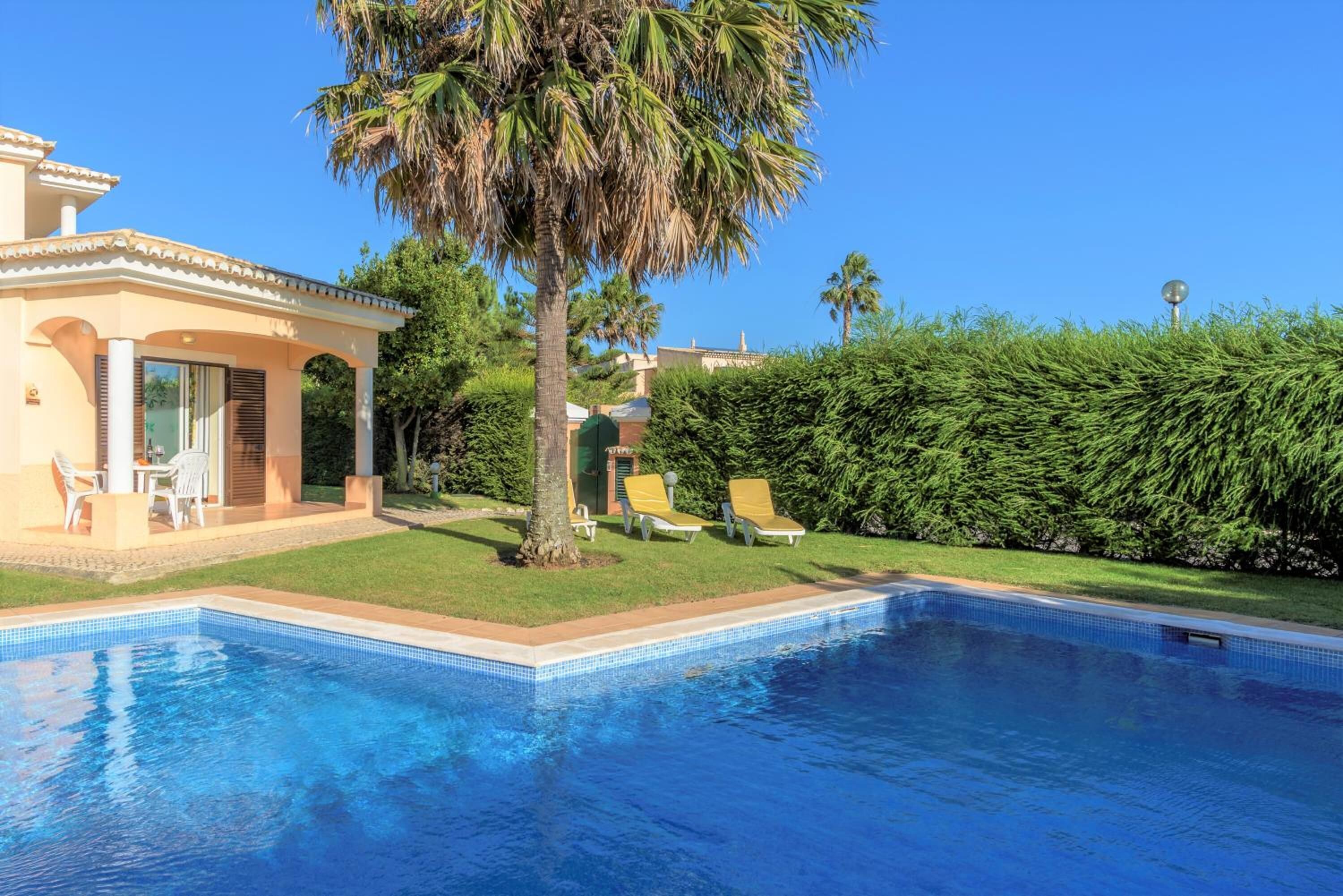 Une piscine avec des chaises longues, un patio couvert et une pelouse bien entretenue agrémentée d’un palmier.