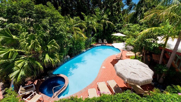 A swimming pool surrounded by lush greenery and palm trees, with lounge chairs and a thatched umbrella. - Shelly Beach Resort (Port Macquarie)