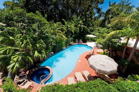 Outdoor pool, pool umbrellas, pool loungers. Shelly Beach Resort