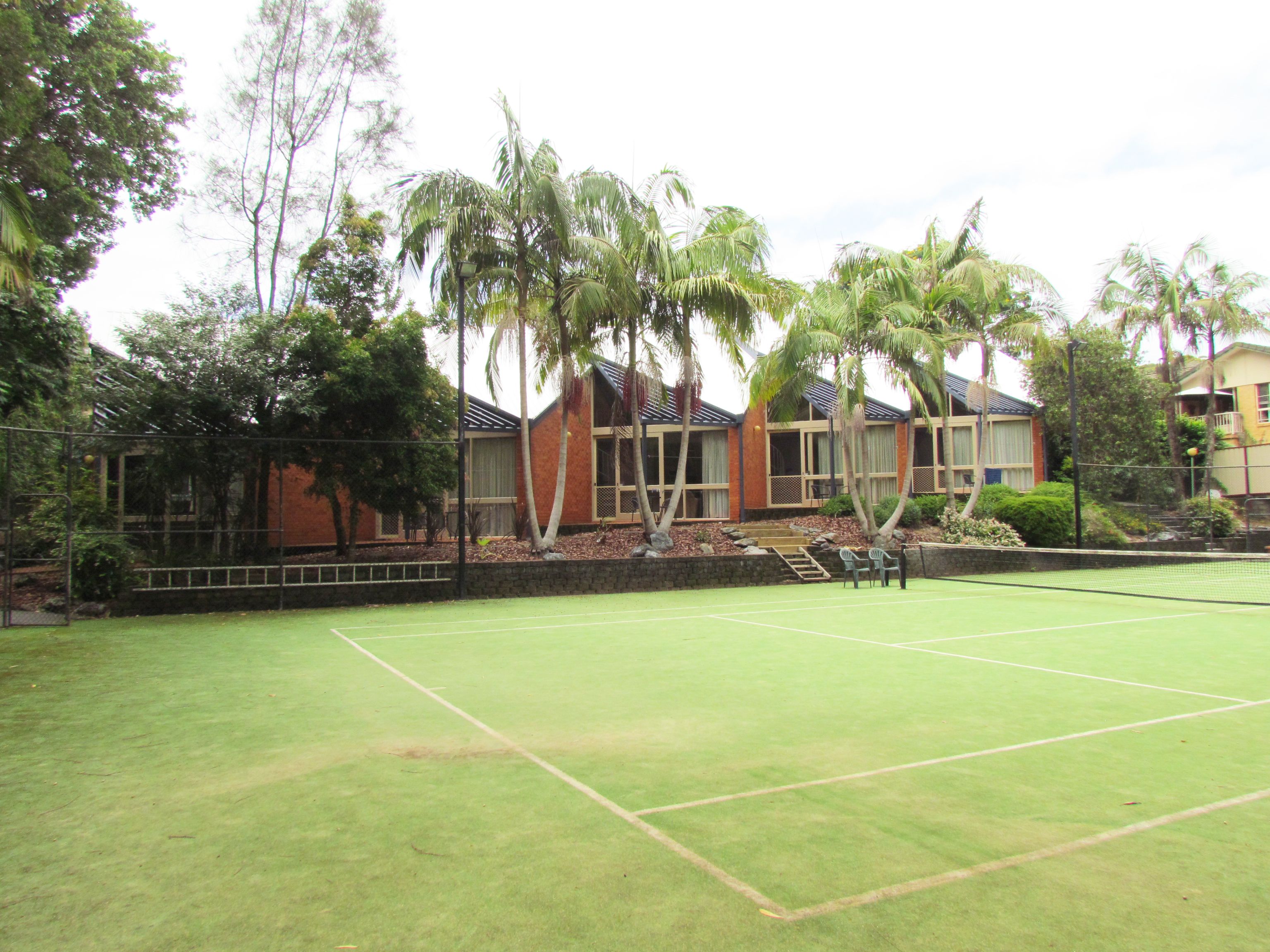 A tennis court with a net, surrounded by palm trees and a building with large windows.