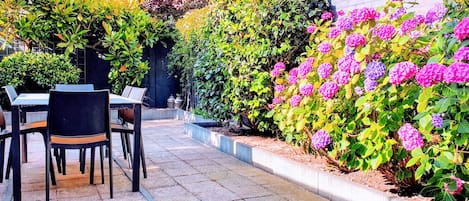 Terraza o patio