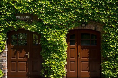 Hornigold w Zielonej Kamienicy