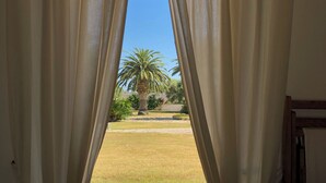 A view through a window with sheer curtains, revealing a palm tree and a grassy area outside. - Masseria Tutosa (Ostuni)