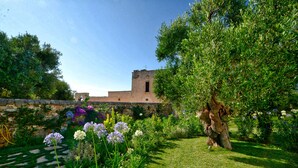 A garden with a stone wall, a tree, and a building with a tower in the background. - Masseria Tutosa (Ostuni)
