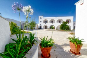Property entrance - Masseria Tutosa (Ostuni)