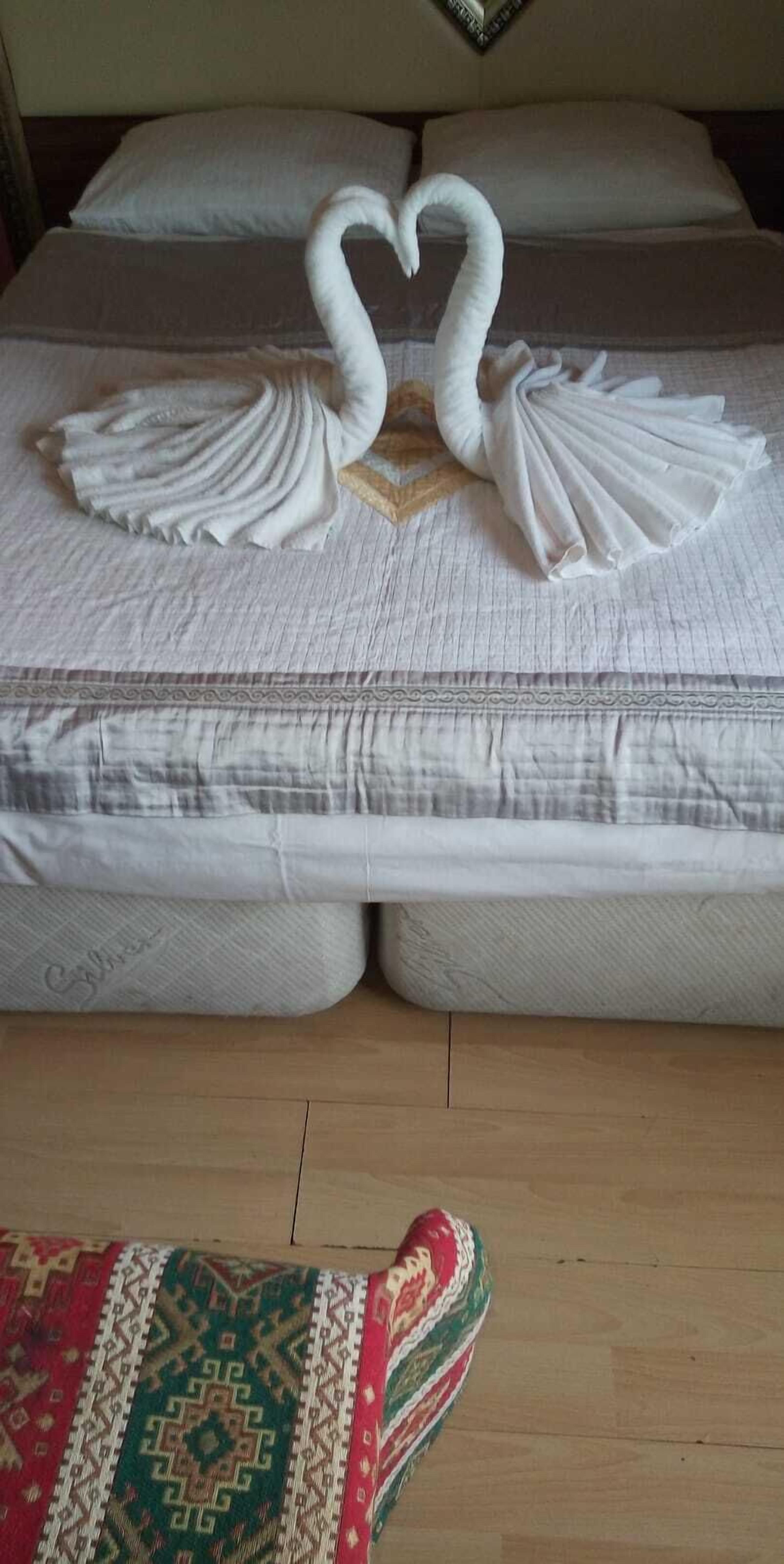 Photo - Hotel Buhara Family Inn