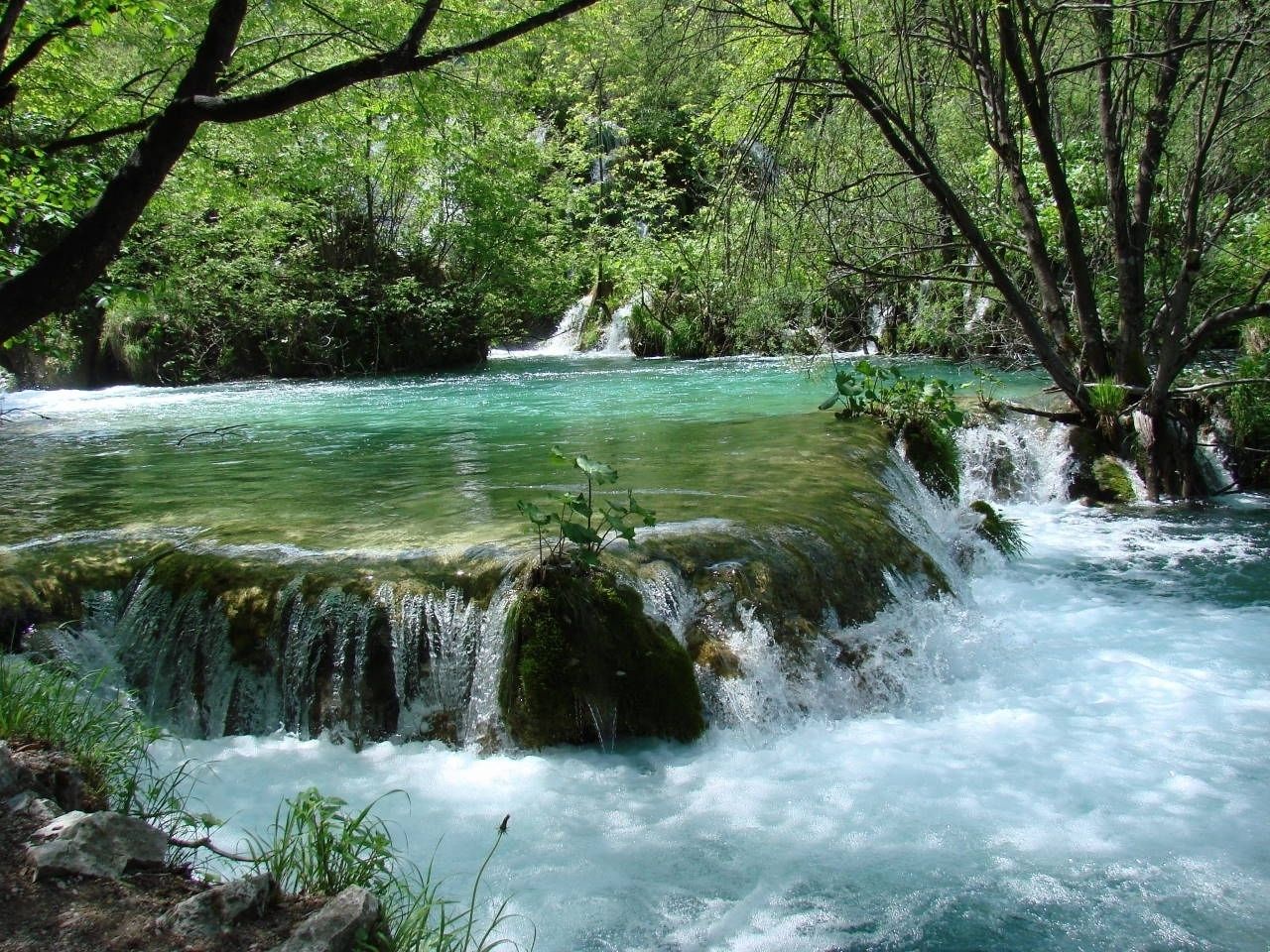 Una cascata naturale con vegetazione circostante.