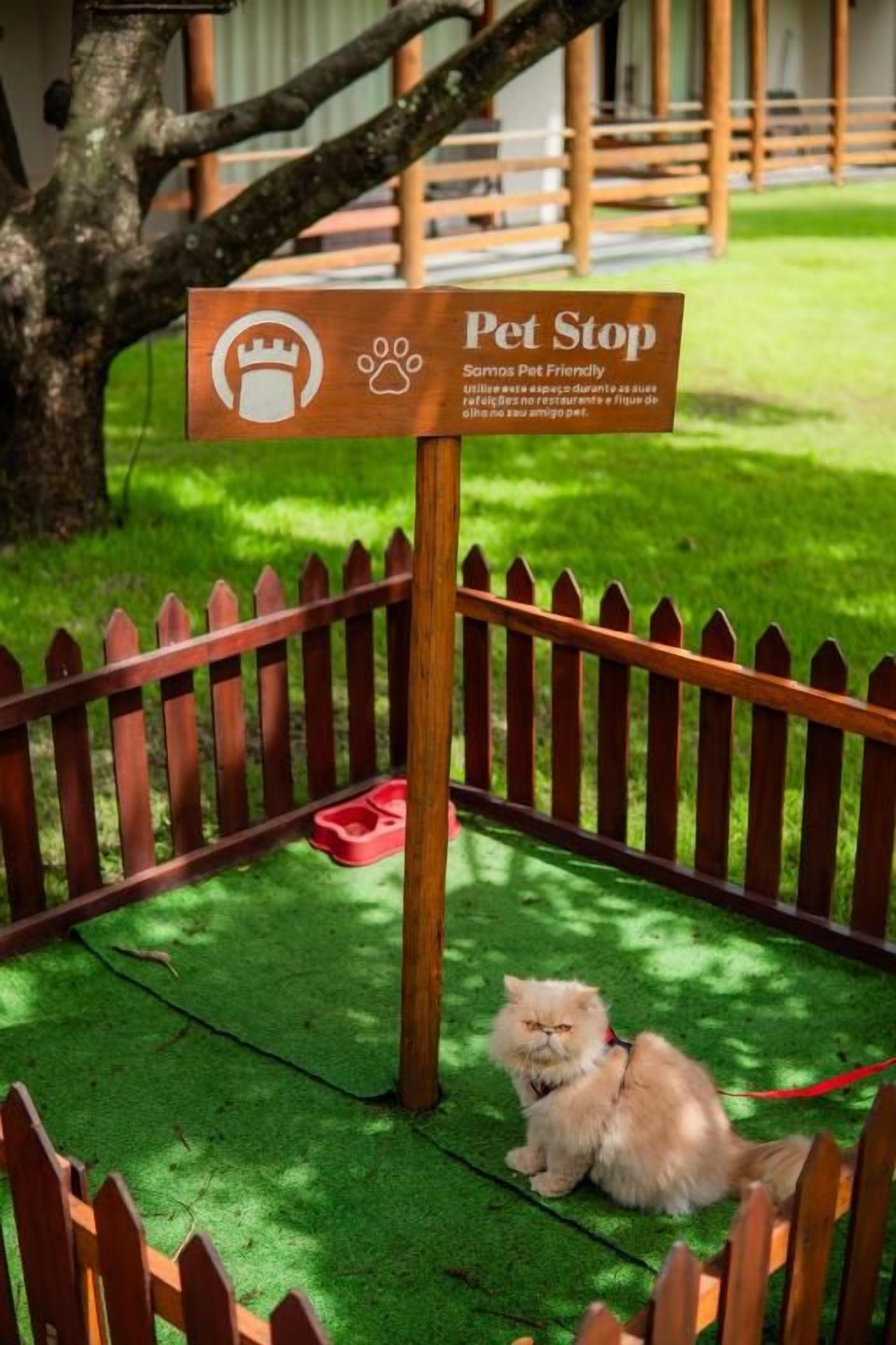 Zona que admite mascotas con un cerramiento, un cartel que indica servicios para animales y un perro pequeño sentado sobre césped artificial.