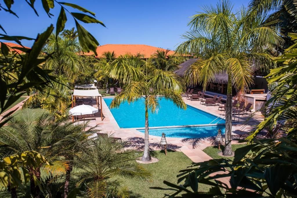 Una piscina circondata da palme e lettini, con una struttura ricoperta di paglia nelle vicinanze.