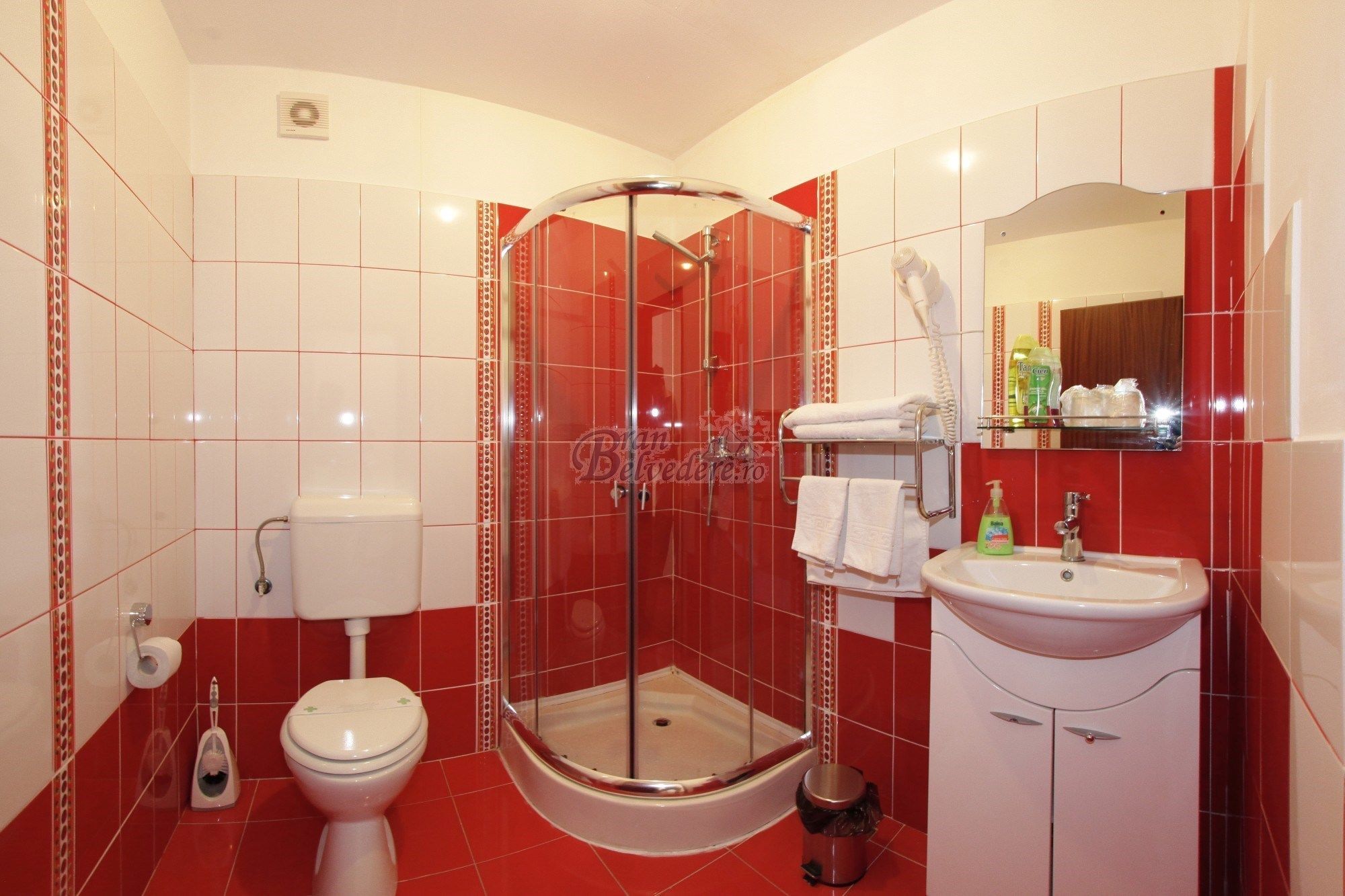 A bathroom with a glass-enclosed shower, a toilet, a sink, and a mirror with toiletries.