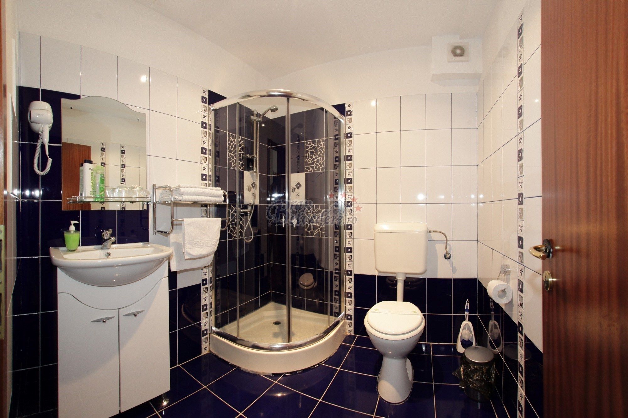 A modern bathroom with a glass-enclosed shower, a white sink, and a toilet.