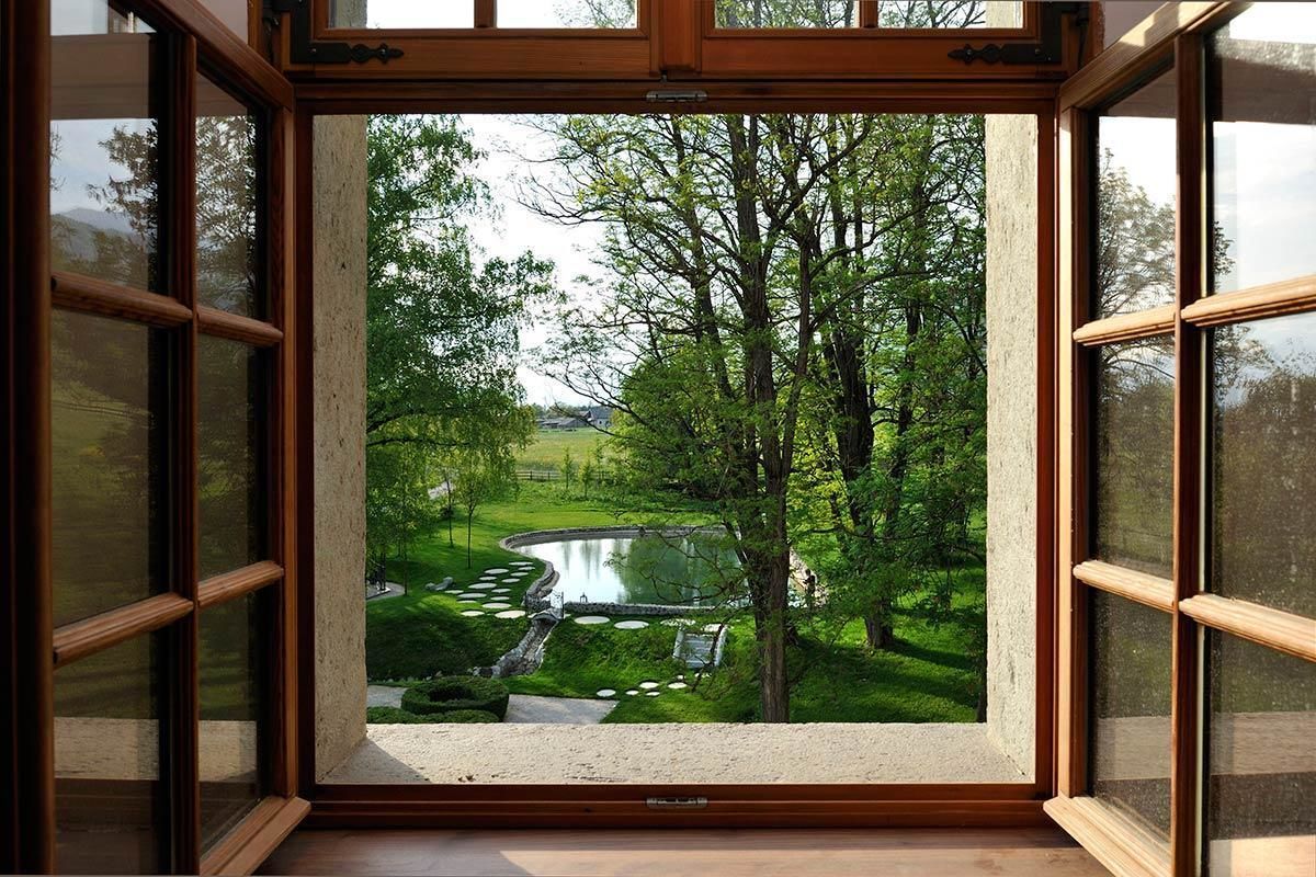 Vista desde la habitación