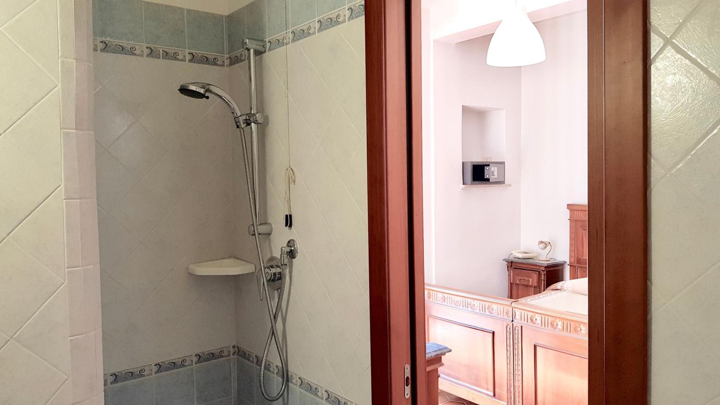 rainfall showerhead, hair dryer, bidet, towels