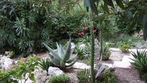 A garden with various plants and rocks. - Dubrovnik Apartments Kovacec (Dubrovnik)