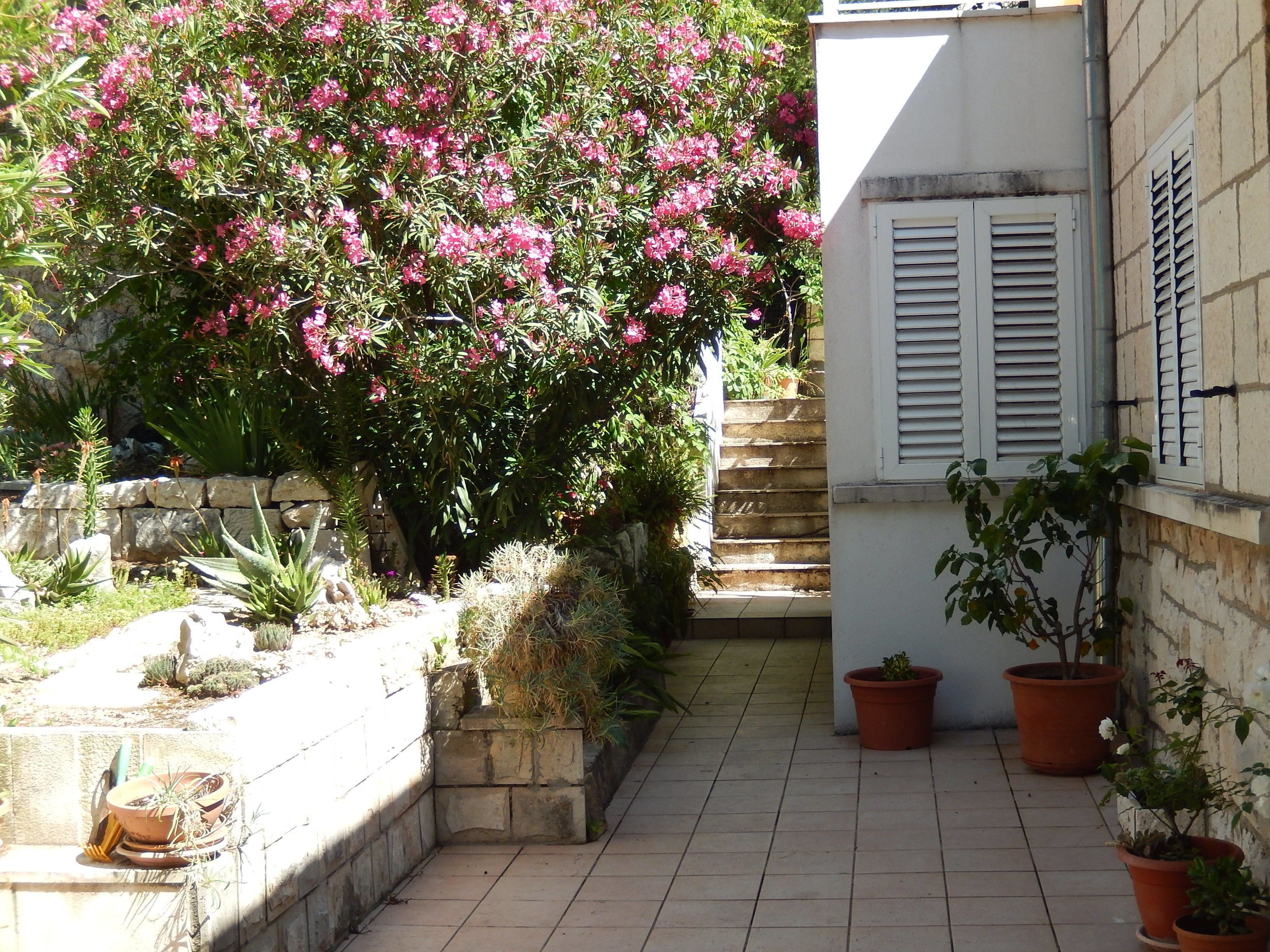 A narrow outdoor corridor with a stone wall on one side and a white building on the other. There are steps leading up to the building, and several potted plants are placed along the wall.