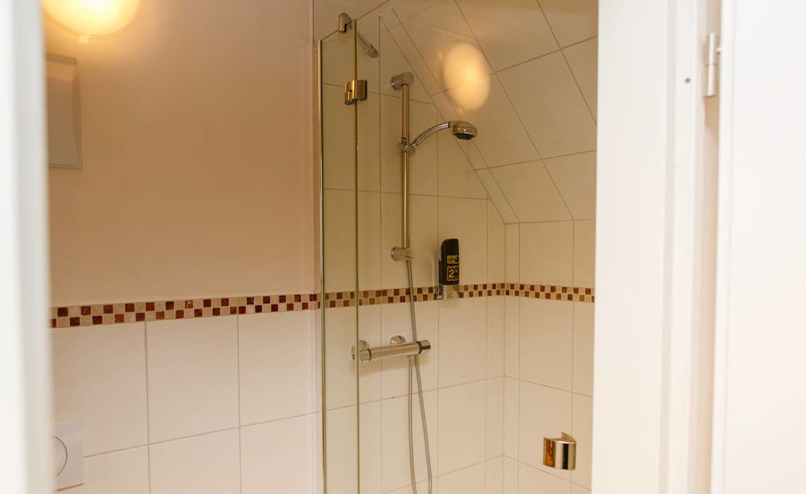 Ducha con puertas de vidrio, pared de azulejos con un detalle decorativo y calentador de agua visible.