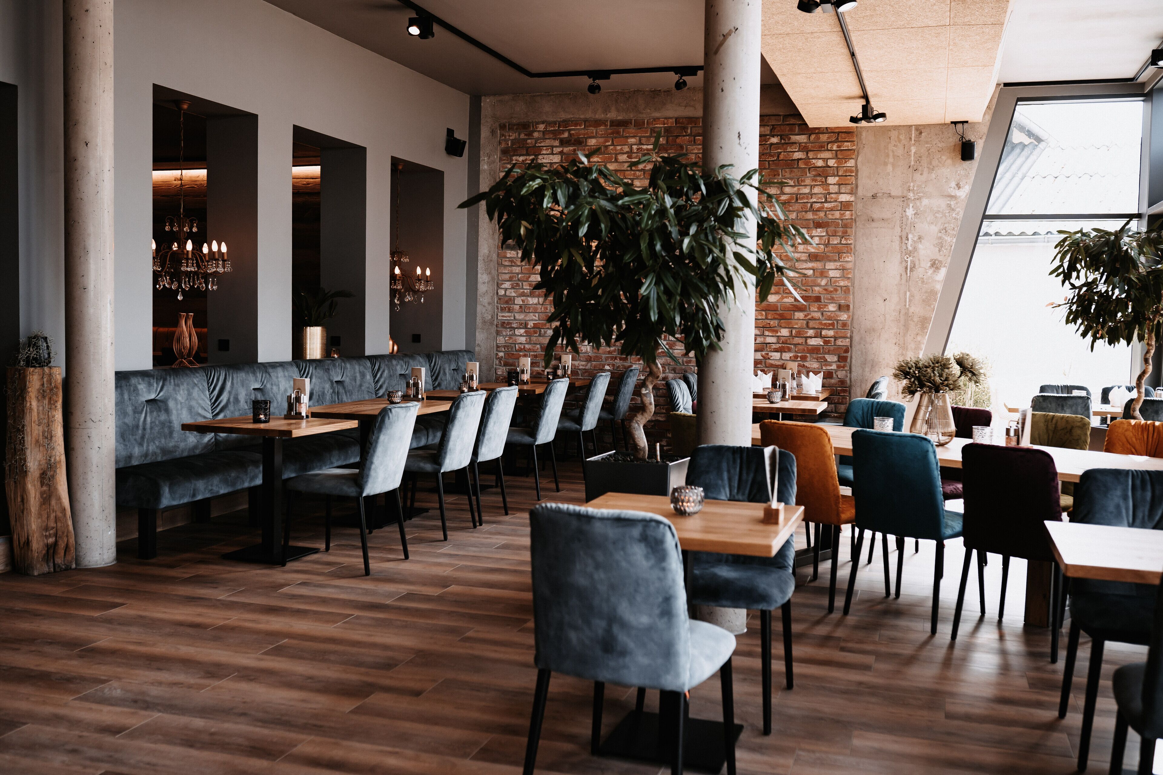 Mittagessen, Abendessen, internationale Küche, Speisen im Freien 