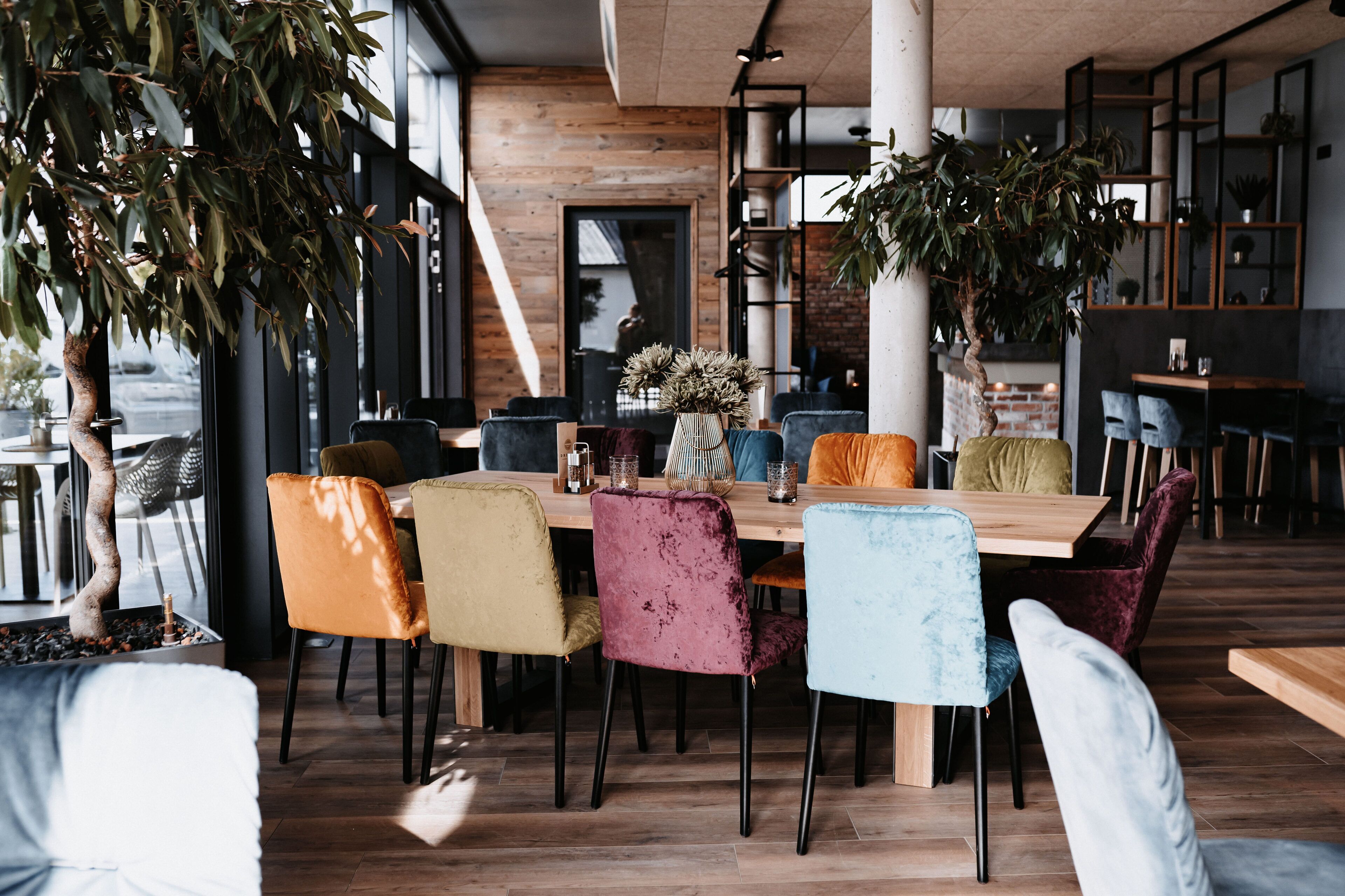 Un comedor moderno con una mesa de madera, sillas coloridas y una planta grande en maceta.