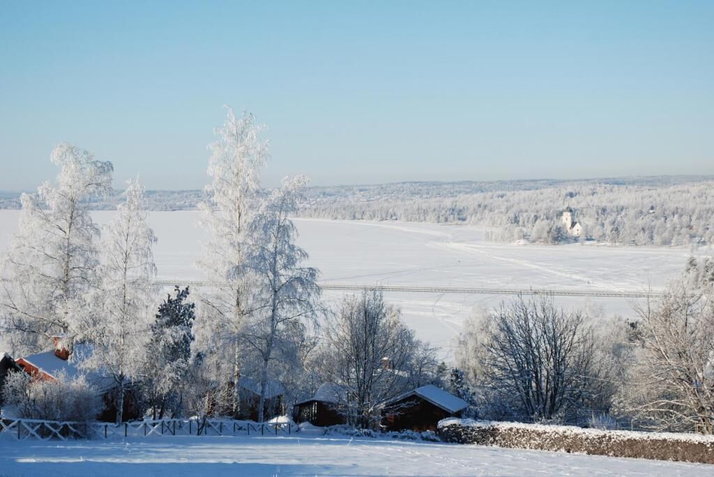 Skikjøring
