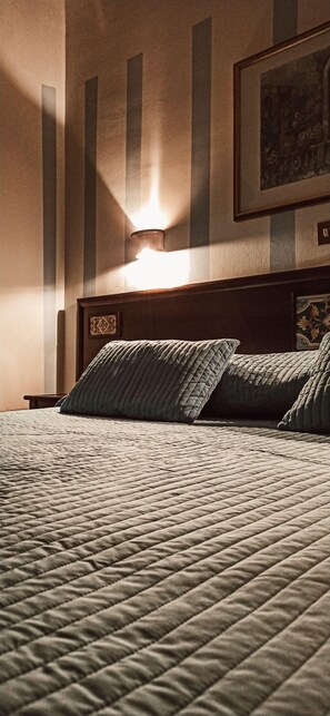 Double or Twin Room | Hypo-allergenic bedding, down comforters, minibar, desk - Hotel Plaza (Caltanissetta)