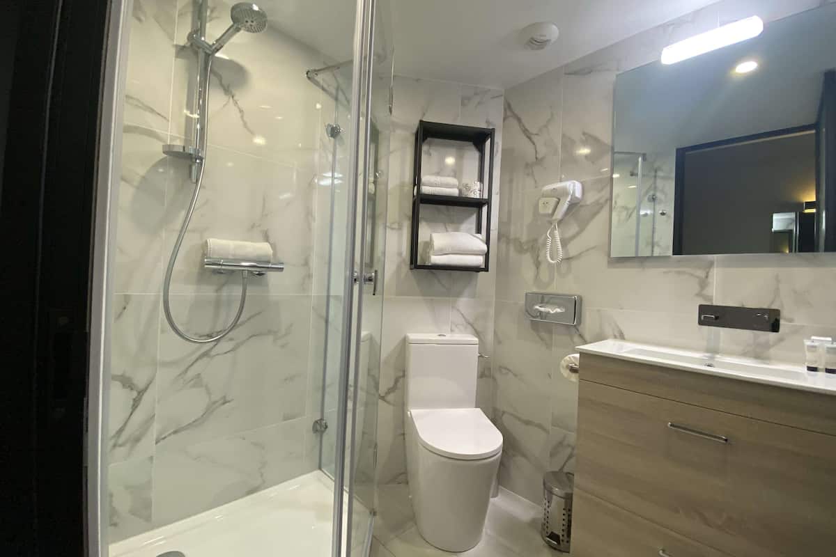 shower, free toiletries, hair dryer, towels