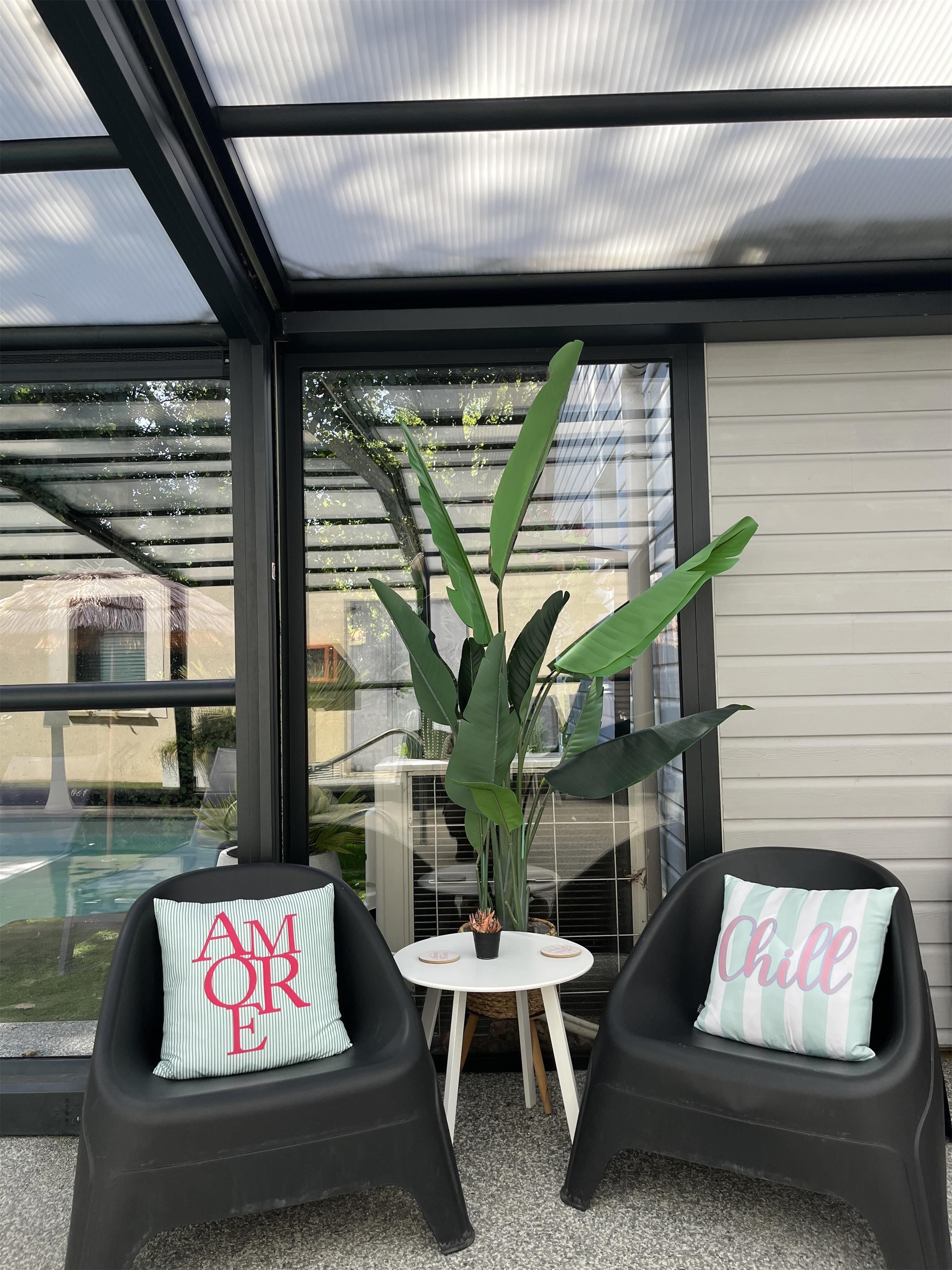 A modern outdoor seating area with two chairs and a small table, a large plant, and a view of a swimming pool through large windows.