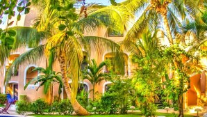 Un hotel con jardín tropical, palmeras y zona de piscina.