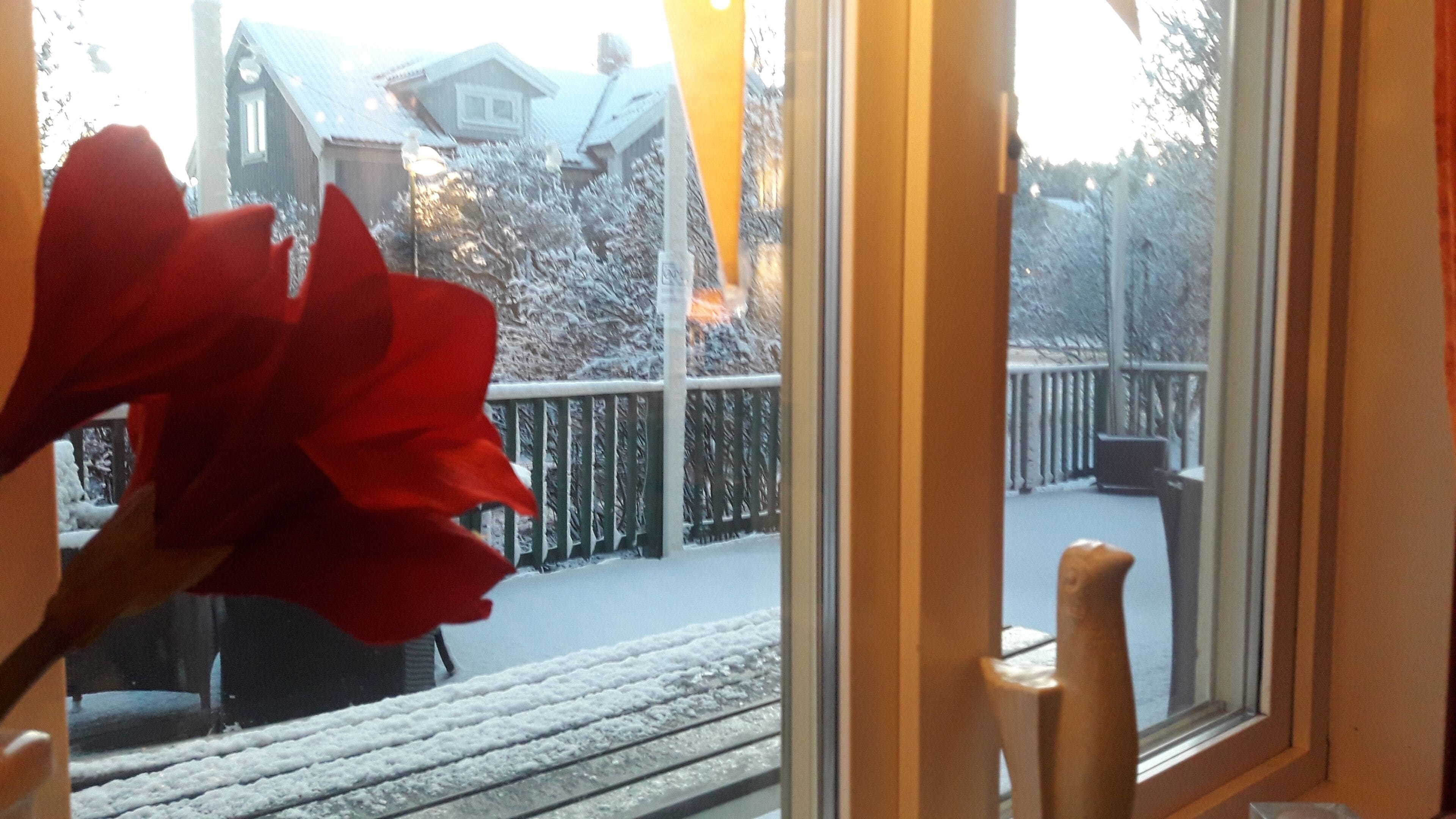 Vista desde una ventana con baranda de madera y un porche cubierto de nieve.