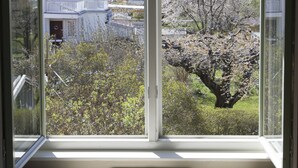Vista a través de una ventana de marco blanco, mostrando una zona residencial con casas y un árbol en flor.