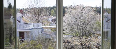 A view through a window with a white frame, revealing a residential area with houses and a tree with blossoms.