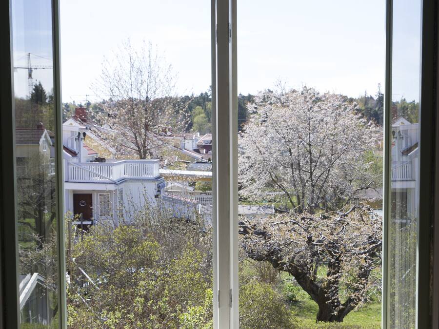 Vista a través de una ventana de marco blanco, mostrando una zona residencial con casas y un árbol en flor.