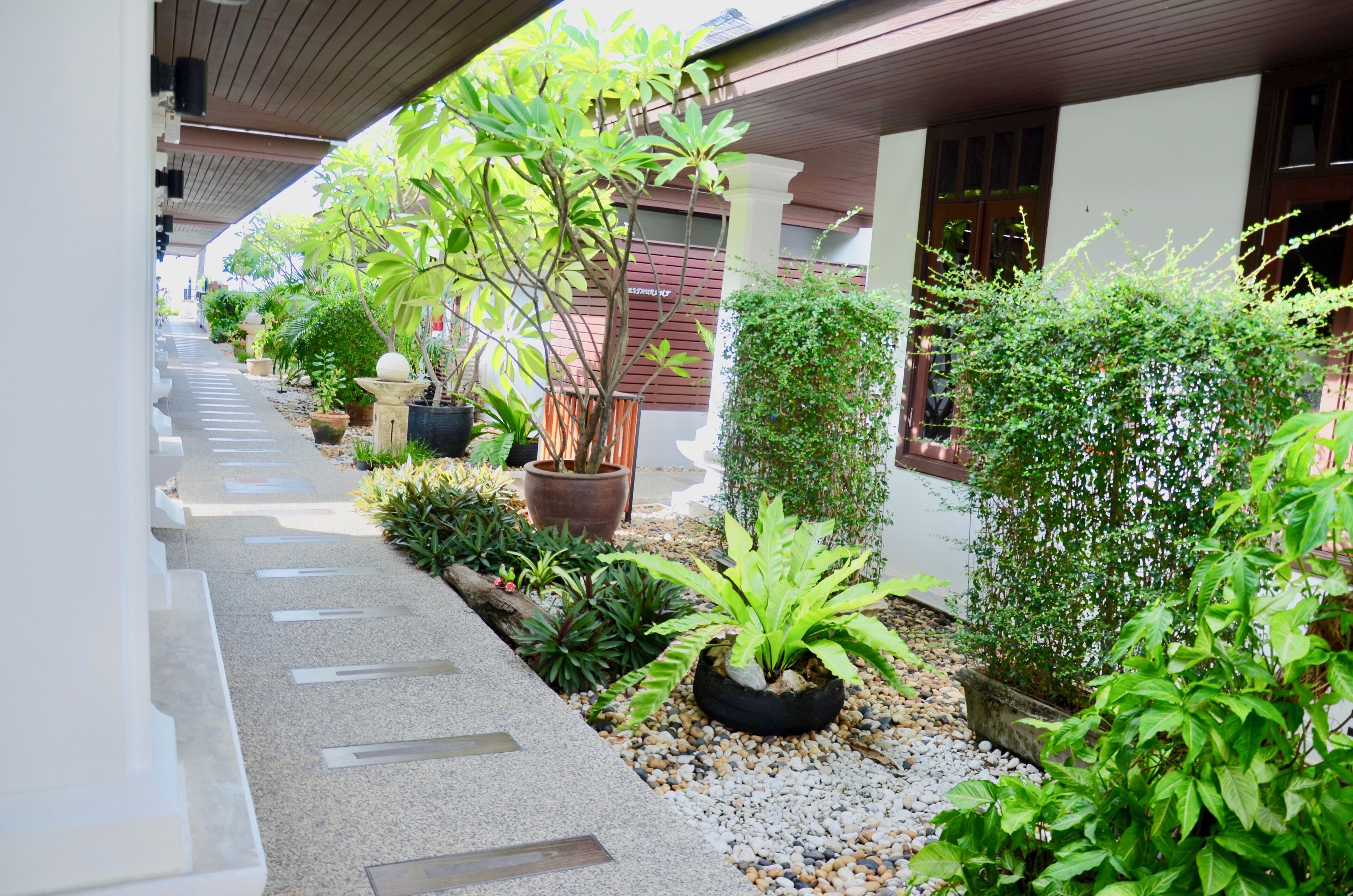 A pathway lined with potted plants and a small garden area, leading to a building with a wooden roof and white walls.