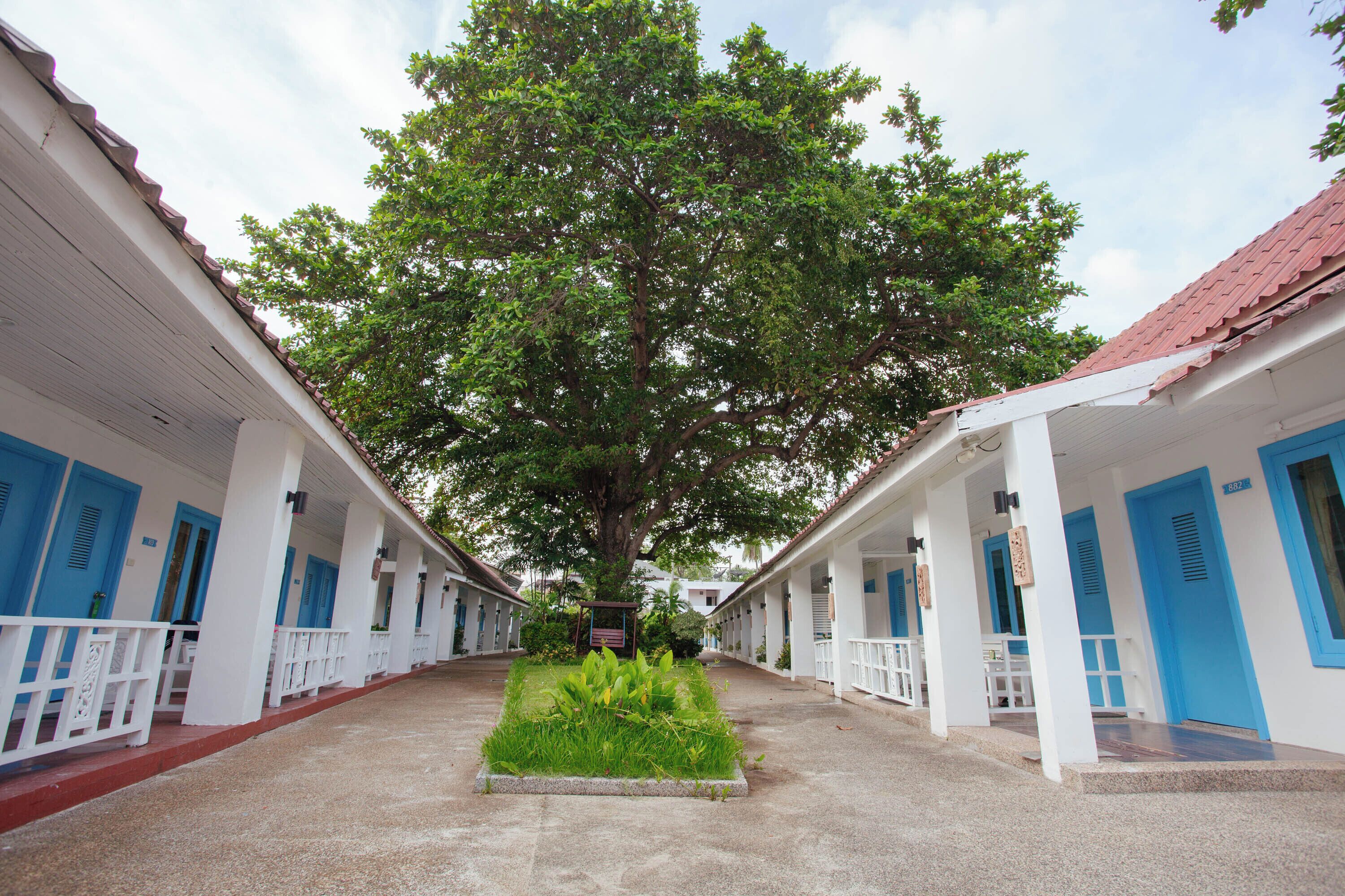 Una hilera de edificios blancos con puertas y ventanas azules, un jardín central y un gran árbol en el centro.