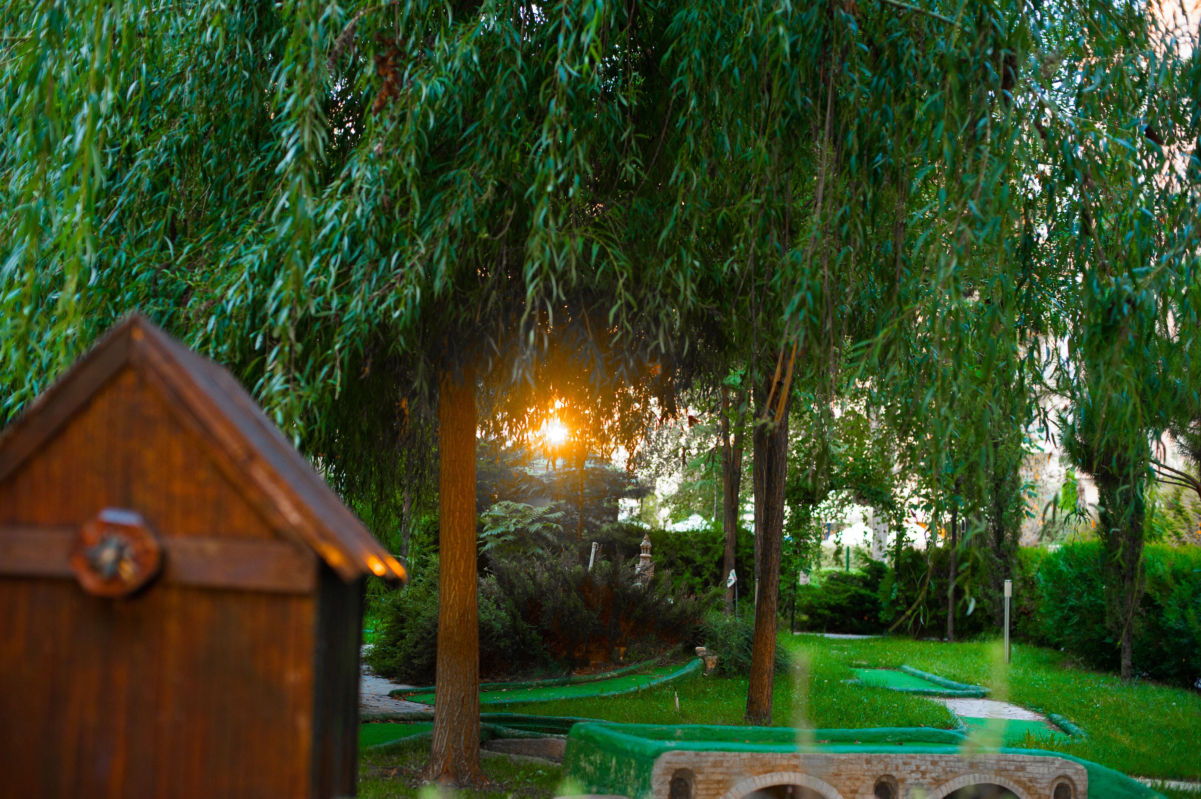 Blick auf den Garten