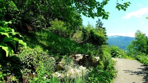 Un sendero pavimentado rodeado de abundante vegetación y un afloramiento rocoso.