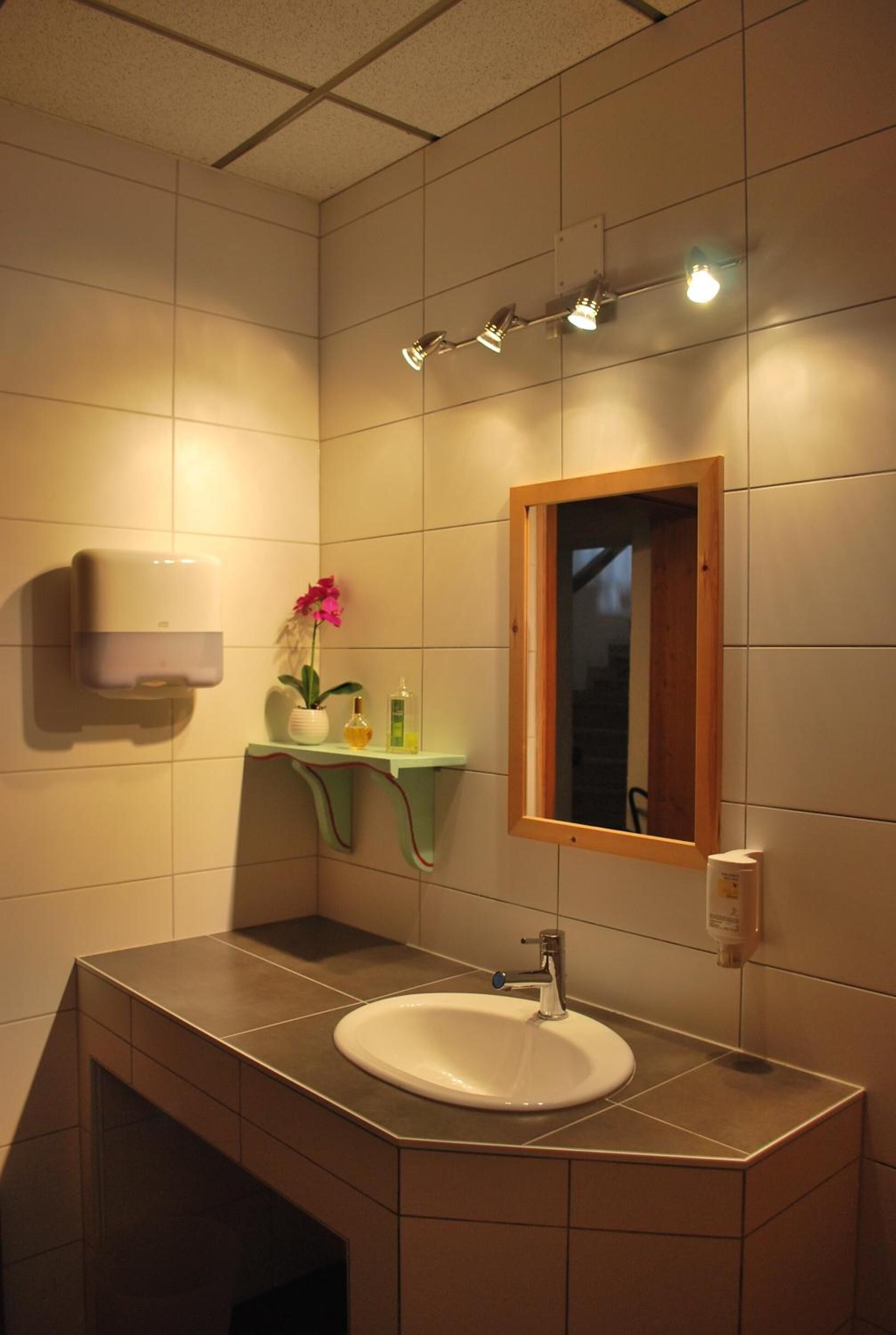 Une salle de bain avec un lavabo blanc, un miroir, un distributeur de savon et une petite étagère sur laquelle se trouvent une fleur et deux bouteilles.