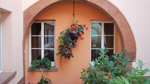 Una ventana con una maceta colgante y una planta en el alféizar.