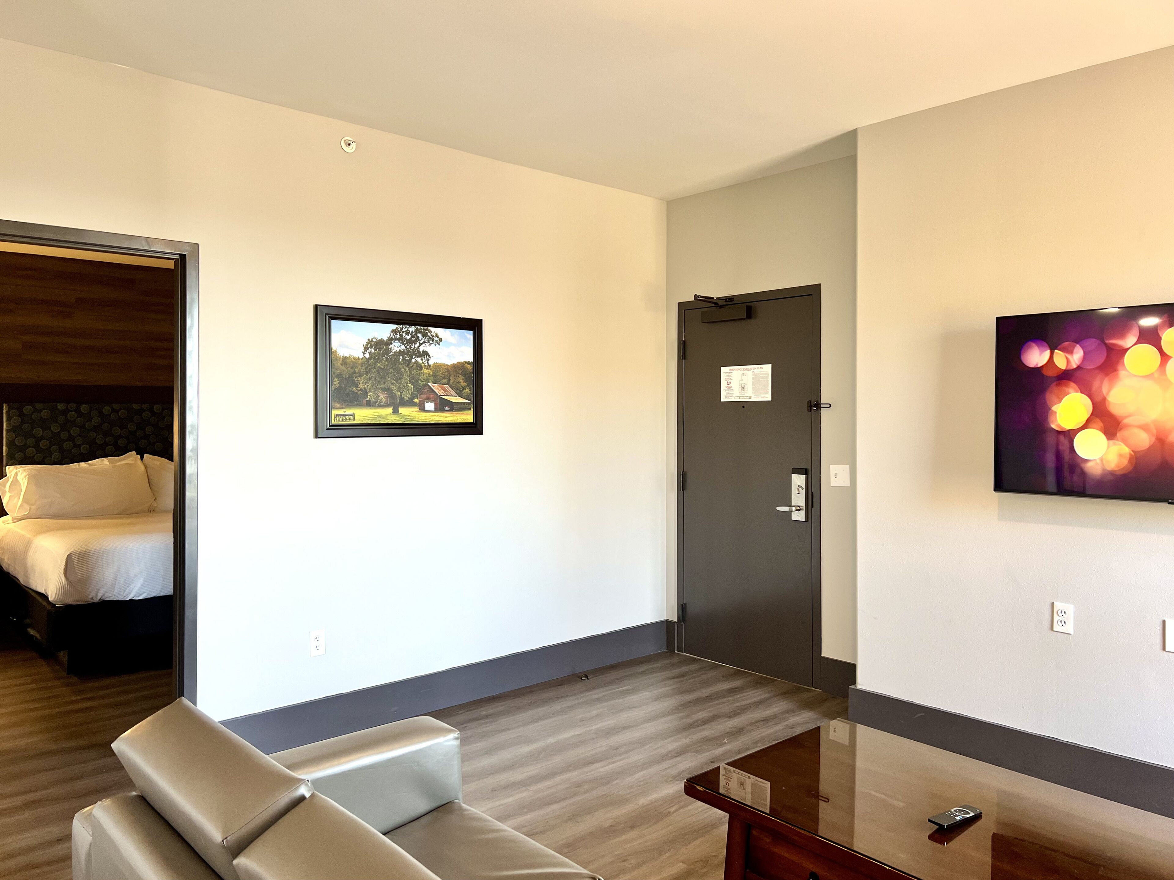 A hotel room with a bed, a sofa, a TV, and a door.