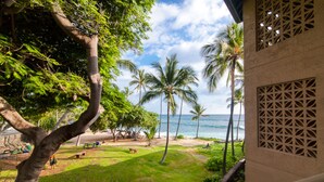 Une vue depuis un balcon donnant sur une plage bordée de palmiers, sous un ciel dégagé.