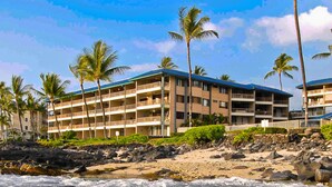 Un hôtel situé en bord de mer, doté de nombreux balcons, de palmiers et où l’on peut apercevoir une tortue dans l’eau.