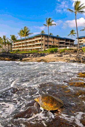 On the beach - Kona Reef Resort (Kailua-Kona)